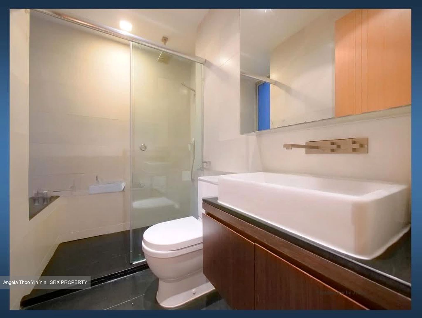 Iridium (D11), Apartment #566088561